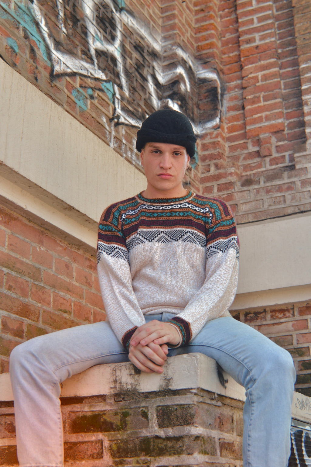 Alpaca Sweater Rib Knit Ethnic Pattern